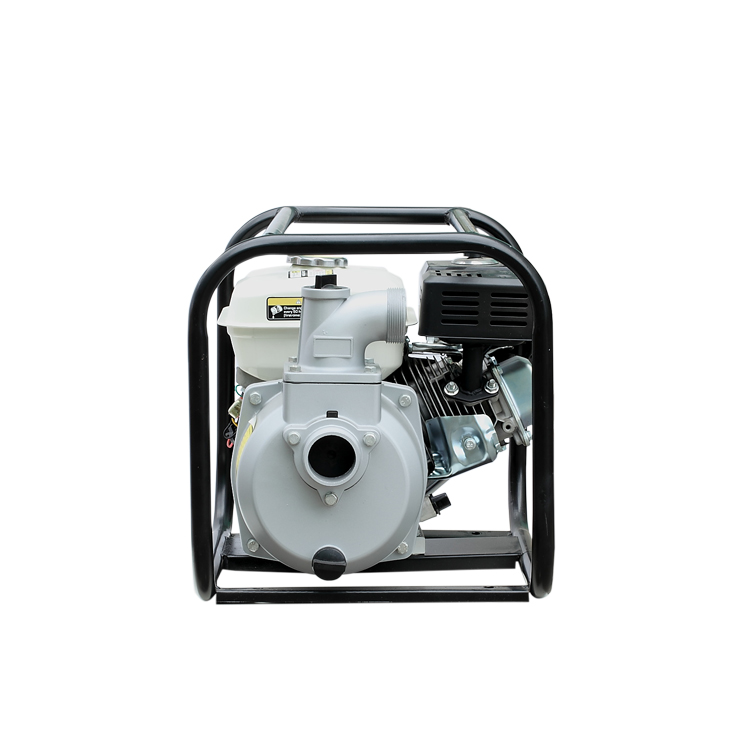 WP-30