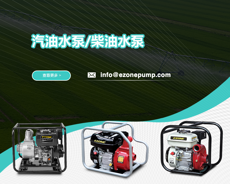 中文1sj