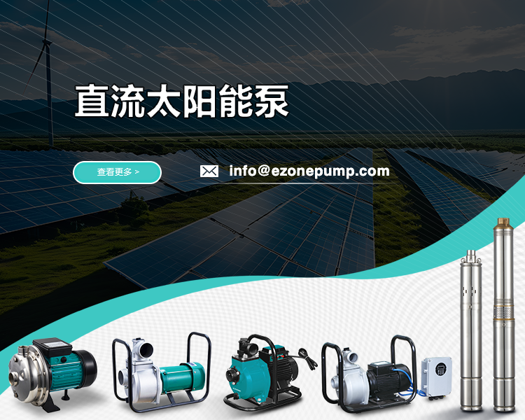 中文2sj